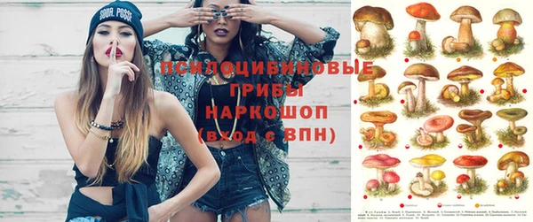 эйфоретик Шадринск
