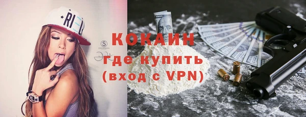 стаф Щёлкино