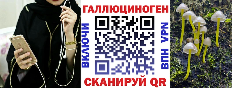 Галлюциногенные грибы Cubensis  Купить закладки  Кола 
