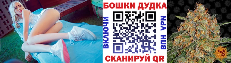 Купить где  Кола  Конопля план 
